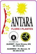 ANTARA TENDES/ FLOREAS.ES