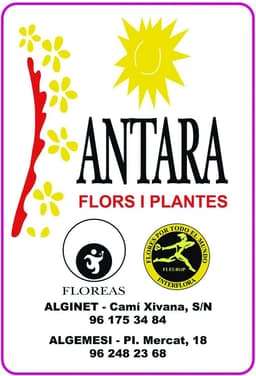 ANTARA TENDES/ FLOREAS.ES